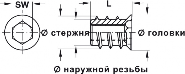 Socket st.galv.             M 6/10,0x8mm